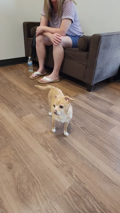 Phoenix Mountain Animal Hospital Picture 10