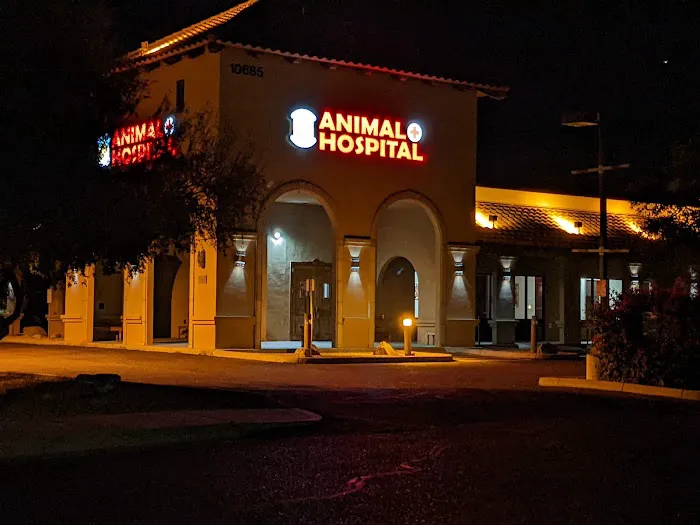 Phoenix Mountain Animal Hospital Picture 8