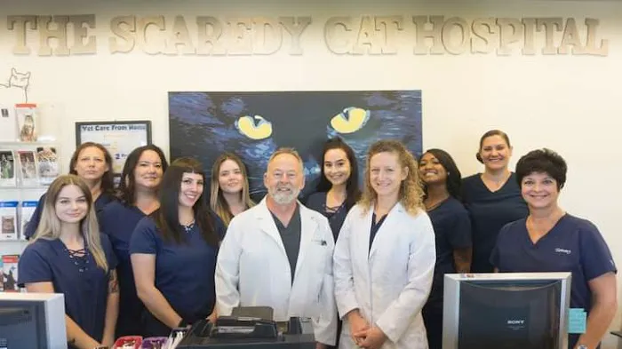 The Scaredy Cat Hospital Picture 9
