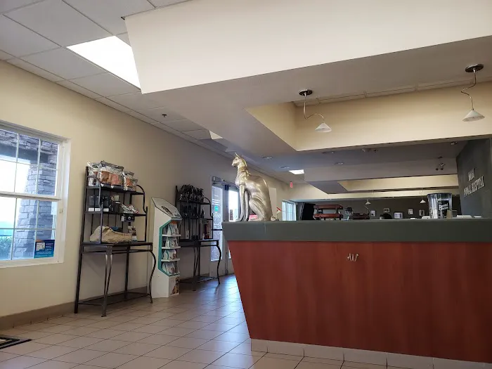 Hopi Animal Hospital ~ A privately owned, family practice! Picture 2