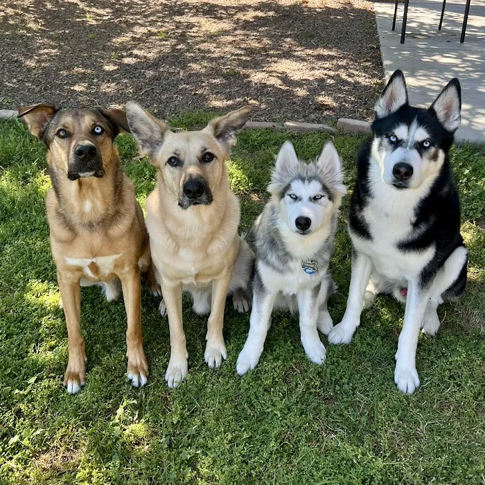 Hopi Animal Hospital ~ A privately owned, family practice! Picture 4