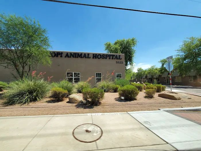 Hopi Animal Hospital ~ A privately owned, family practice! Picture 9