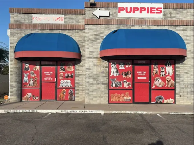 Puppy Time Puppies Picture 2