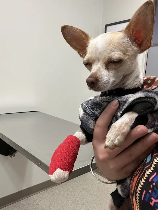 VetMED Emergency & Specialty Veterinary Hospital Picture 1
