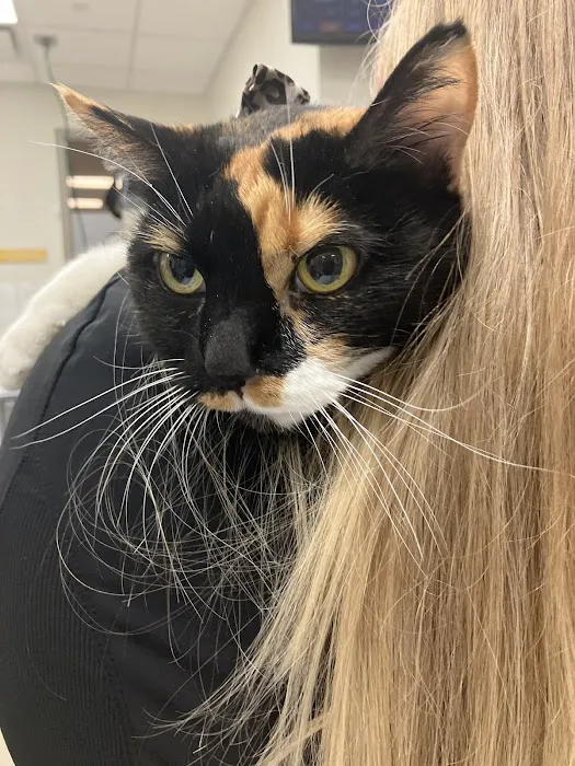 VetMED Emergency & Specialty Veterinary Hospital Picture 8