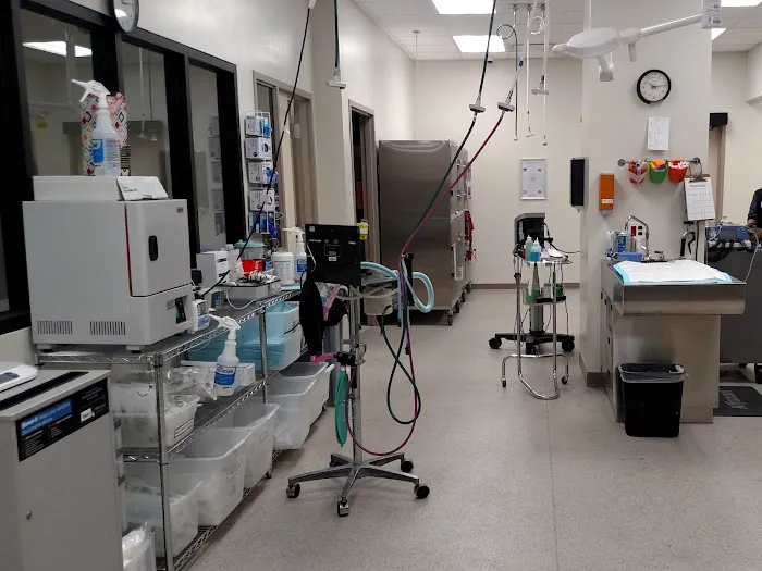 VetMED Emergency & Specialty Veterinary Hospital Picture 10