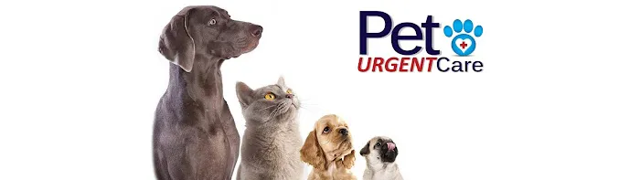 Pet Urgent Care Picture 4