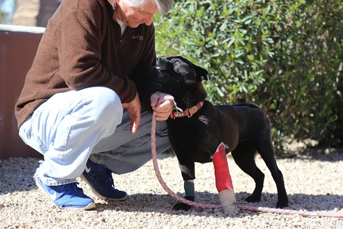 Pet Urgent Care Picture 1