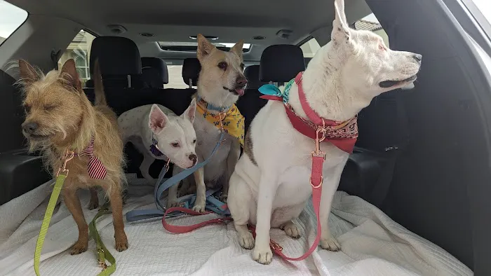 Deer Creek Animal Hospital & Pet Resort Picture 1