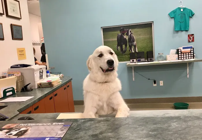 Deer Creek Animal Hospital & Pet Resort Picture 10