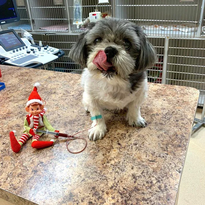 Animal Medical Center of Deer Valley Picture 6