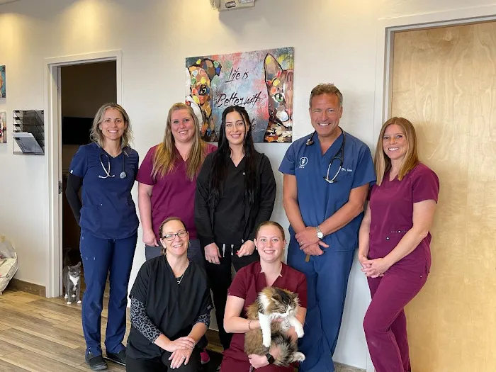 Animal Medical Center of Deer Valley Picture 5