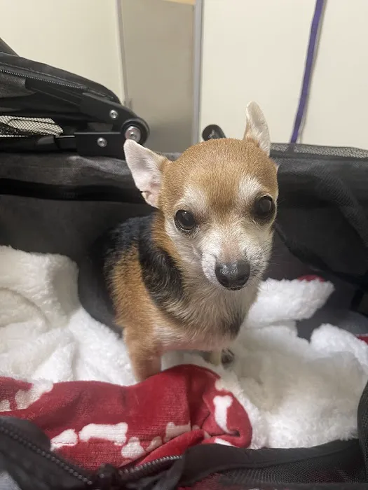 Vetco Total Care Animal Hospital Picture 5