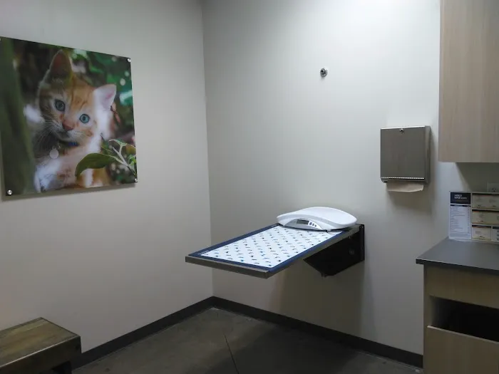 Vetco Total Care Animal Hospital Picture 3