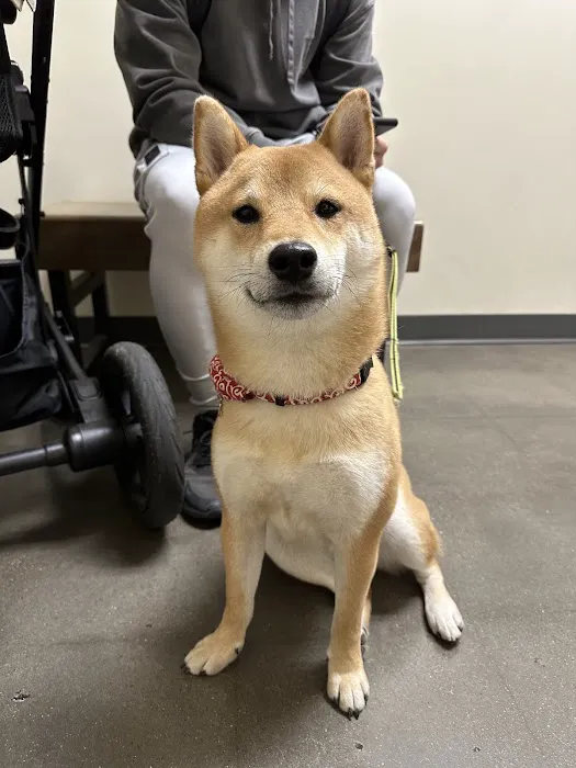 Vetco Total Care Animal Hospital Picture 7