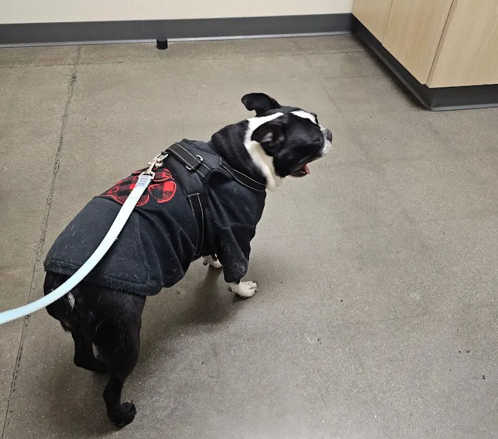 Vetco Total Care Animal Hospital Picture 6