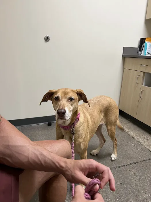 Vetco Total Care Animal Hospital Picture 8