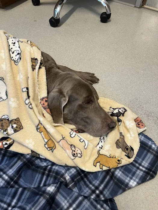 West Valley Animal Hospital Picture 1