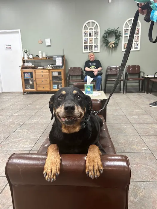 Sun City West Animal Hospital Picture 6