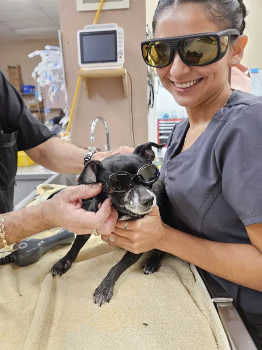 Sun City West Animal Hospital Picture 2