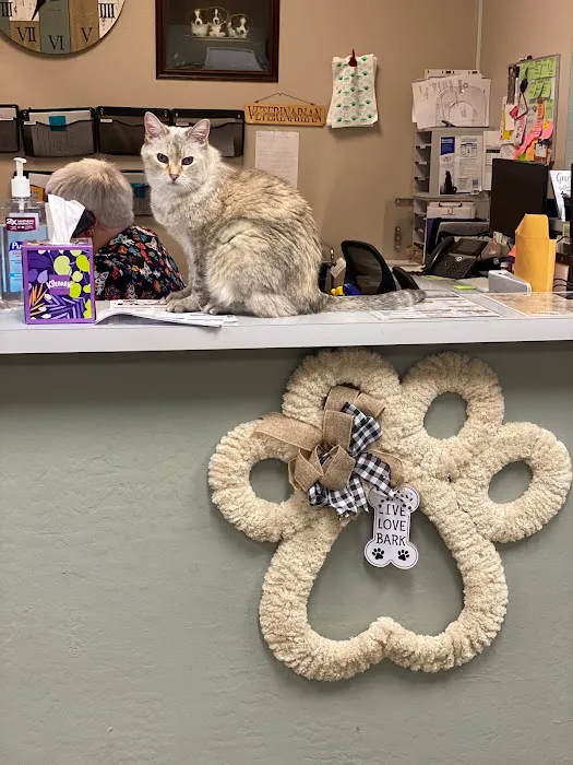 Sun City West Animal Hospital Picture 8
