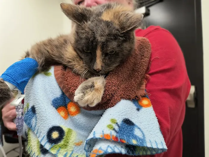 Urgent Petcare Picture 10