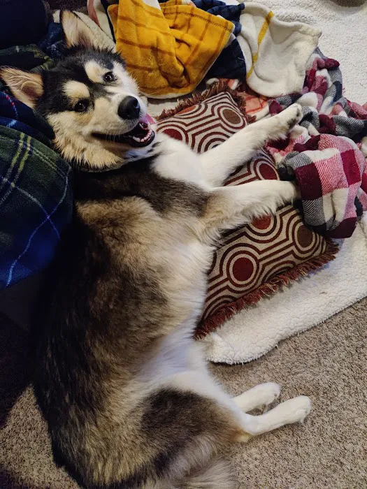 Urgent Petcare Picture 8