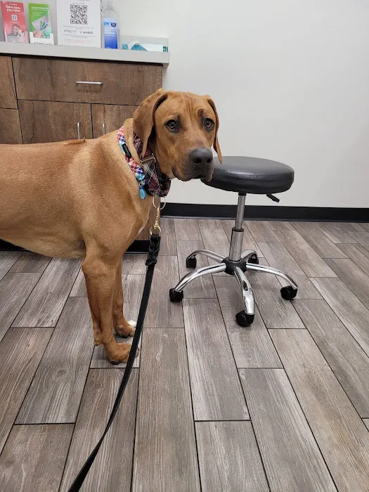 Urgent Petcare Picture 9