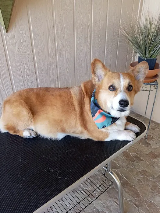 Bell Parkway Veterinary Hospital Picture 10
