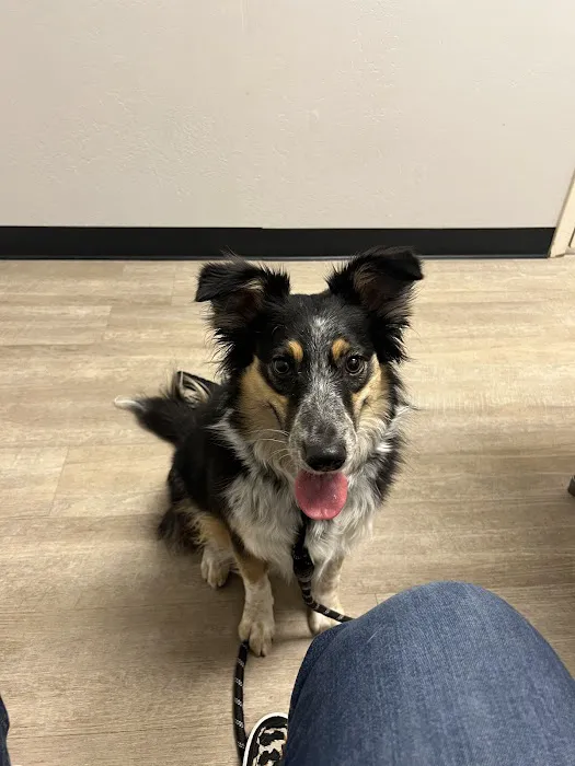 Purrfurred Pets Veterinary Clinic Picture 3