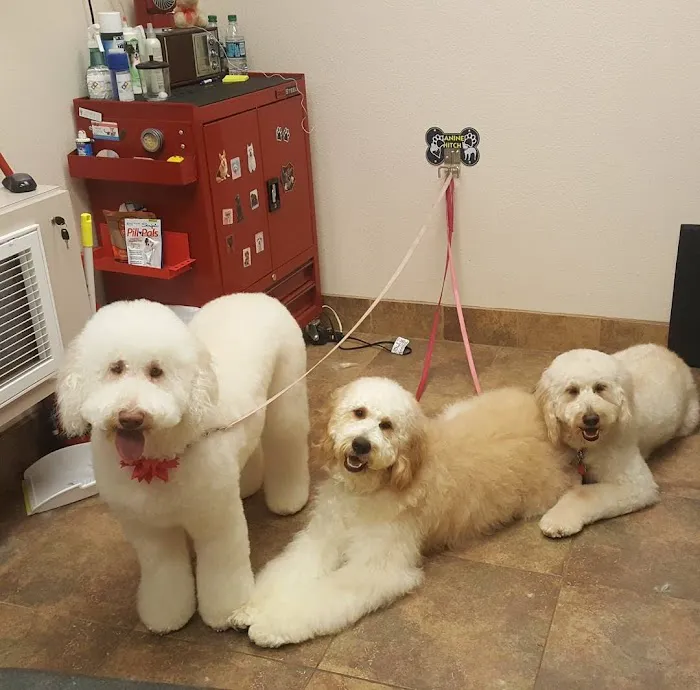 Lovet Pet Health Care - Fletcher Heights Picture 2