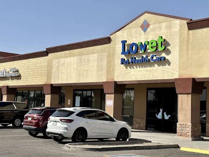 Lovet Pet Health Care - Fletcher Heights Picture 8