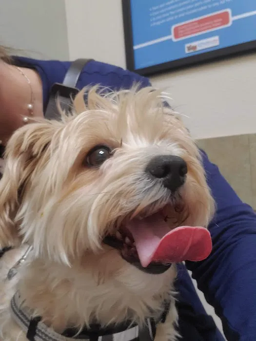 Lovet Pet Health Care - Arrowhead Ranch Picture 1