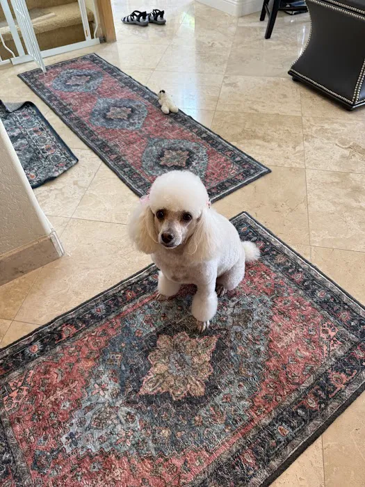 Lovet Pet Health Care - Arrowhead Ranch Picture 4