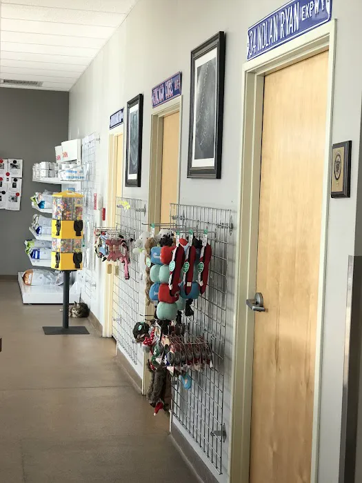 All-Star Animal Hospital Picture 2