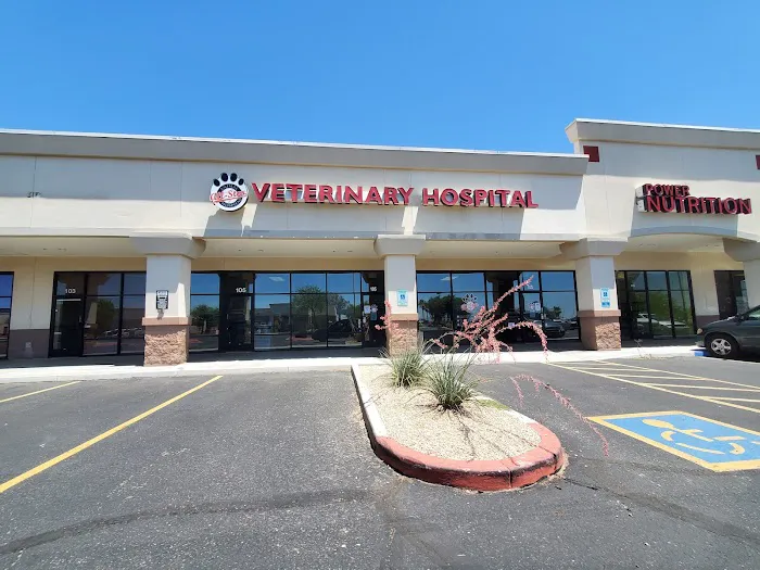 All-Star Animal Hospital Picture 6