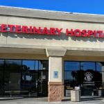 All-Star Animal Hospital: Kara Ericksen DVM, Matt Ericksen DVM