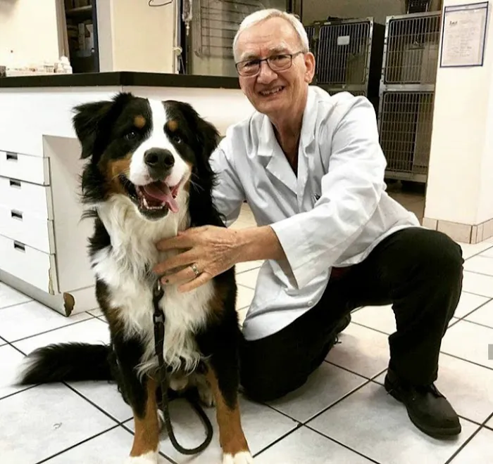 Chandler Small Animal Clinic Picture 10