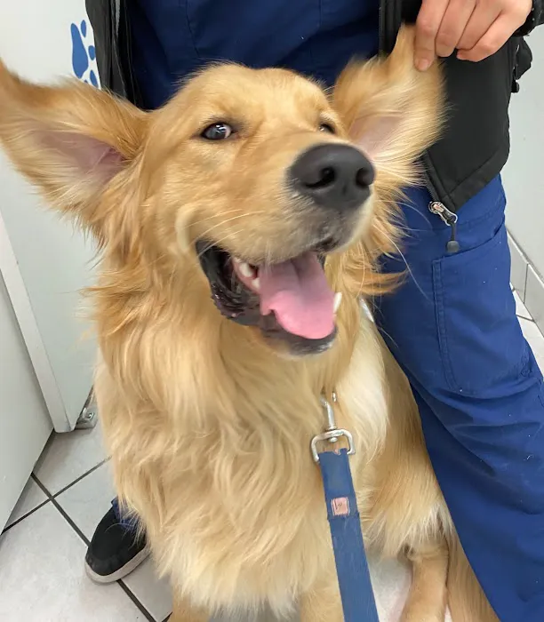 Chandler Small Animal Clinic Picture 6