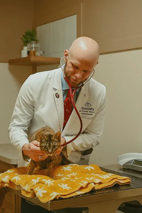 GoodVets Chandler Picture 5