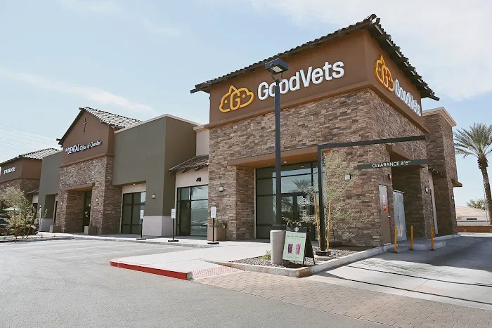GoodVets Chandler Picture 9