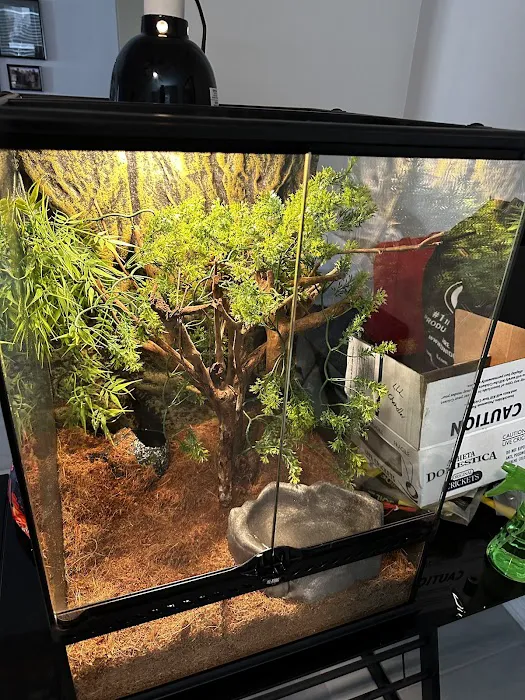 LLLReptile & Supply Chandler Picture 2