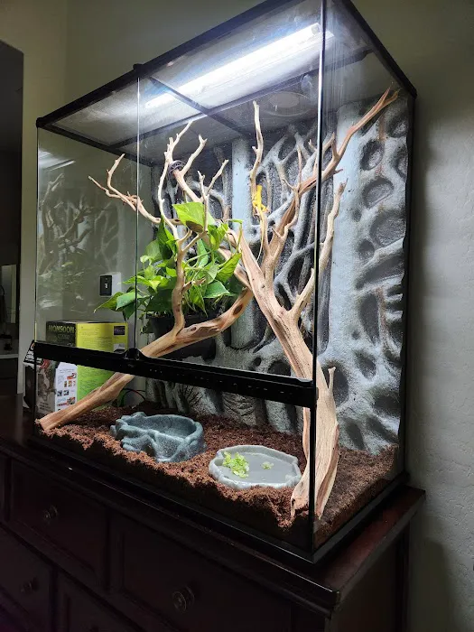 LLLReptile & Supply Chandler Picture 4