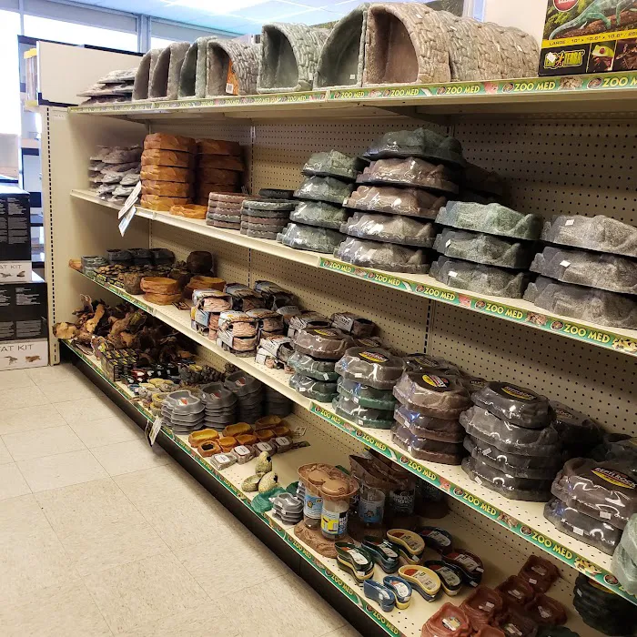 LLLReptile & Supply Chandler Picture 6