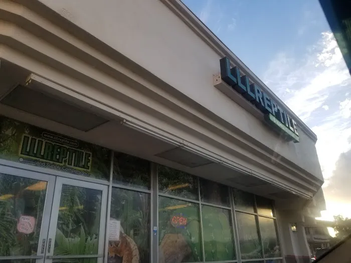 LLLReptile & Supply Chandler Picture 9