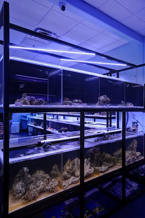 Artistic Aquariums, Inc Picture 8