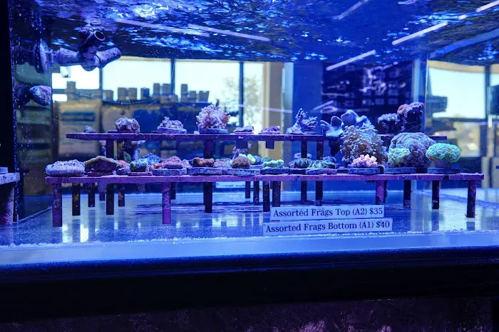 Artistic Aquariums, Inc Picture 1