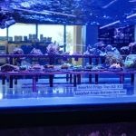 Artistic Aquariums, Inc