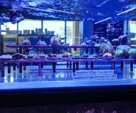 Artistic Aquariums, Inc