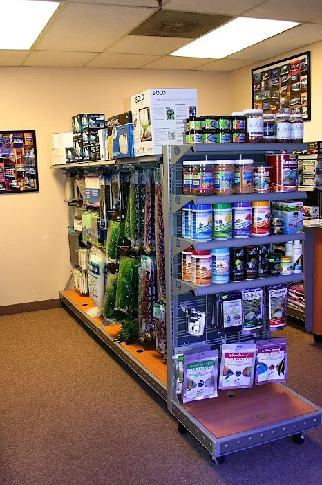 Artistic Aquariums, Inc Picture 9